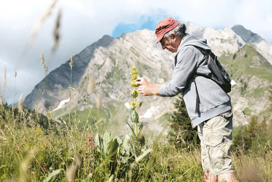 Ethnobotanist observing a plant at Clarins Estate