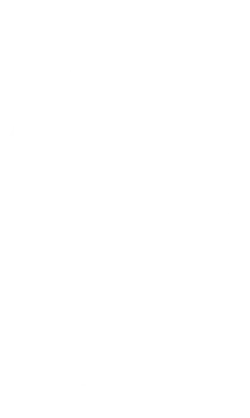 Logo BCorp